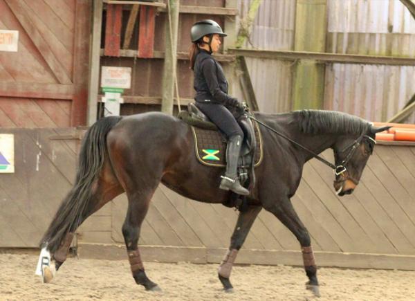A girl riding a horse in a dressage arena